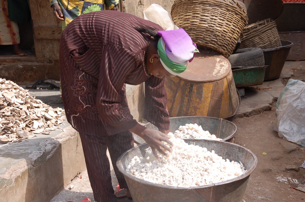 SCALING UP THE VALORIZATION OF CASSAVA WASTE AS ANIMAL FEED IN NIGERIA –  Cassava Peel Products